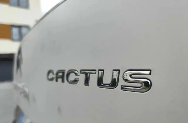 CITROEN C4 Cactus 