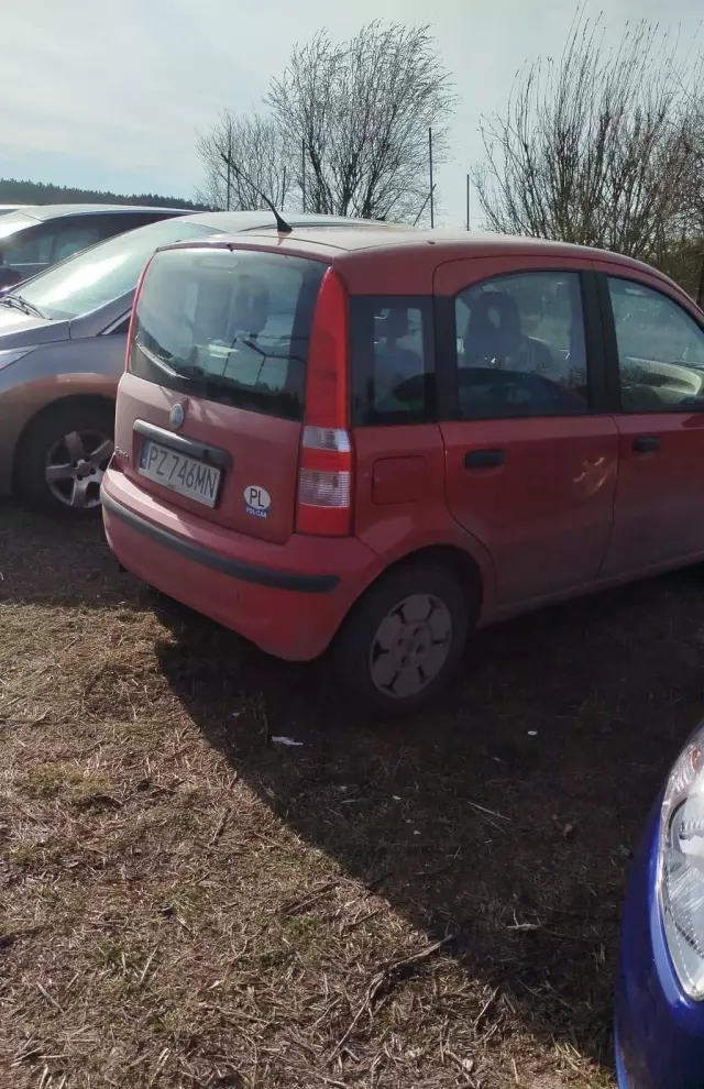 FIAT Panda 
