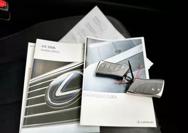 LEXUS UX 250h Business Edition