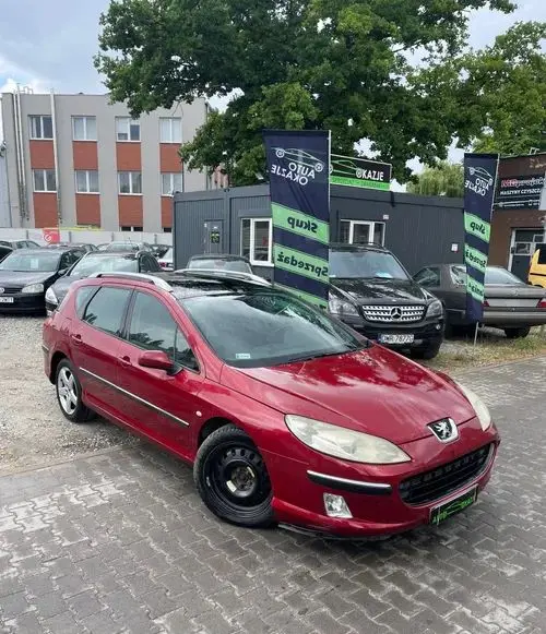 PEUGEOT 407 