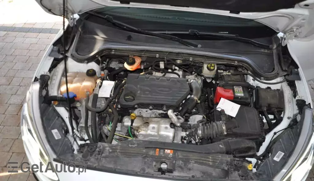 FORD Focus 1.5 EcoBlue (120 KM)