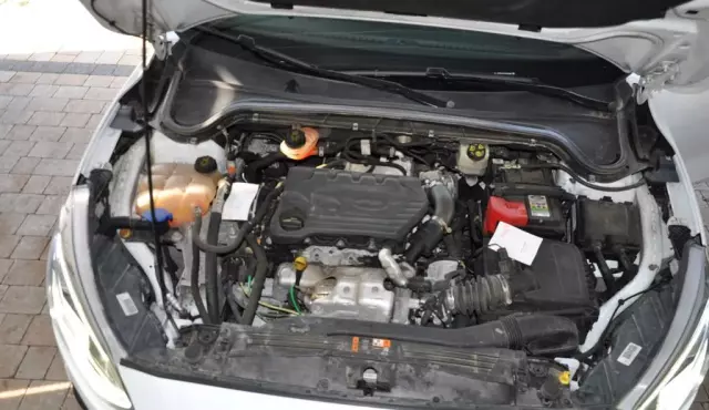 FORD Focus 1.5 EcoBlue (120 KM)