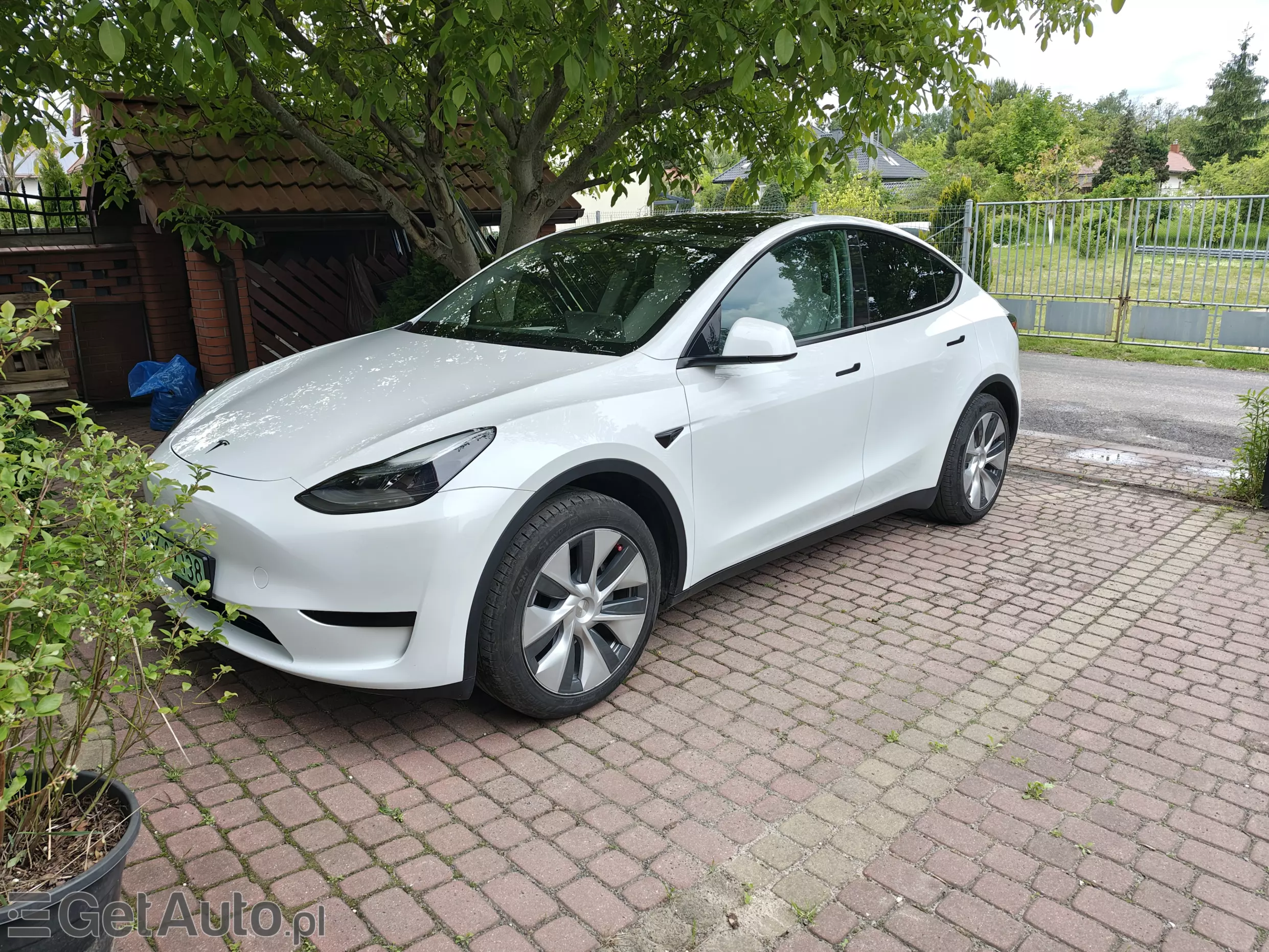 TESLA Y 