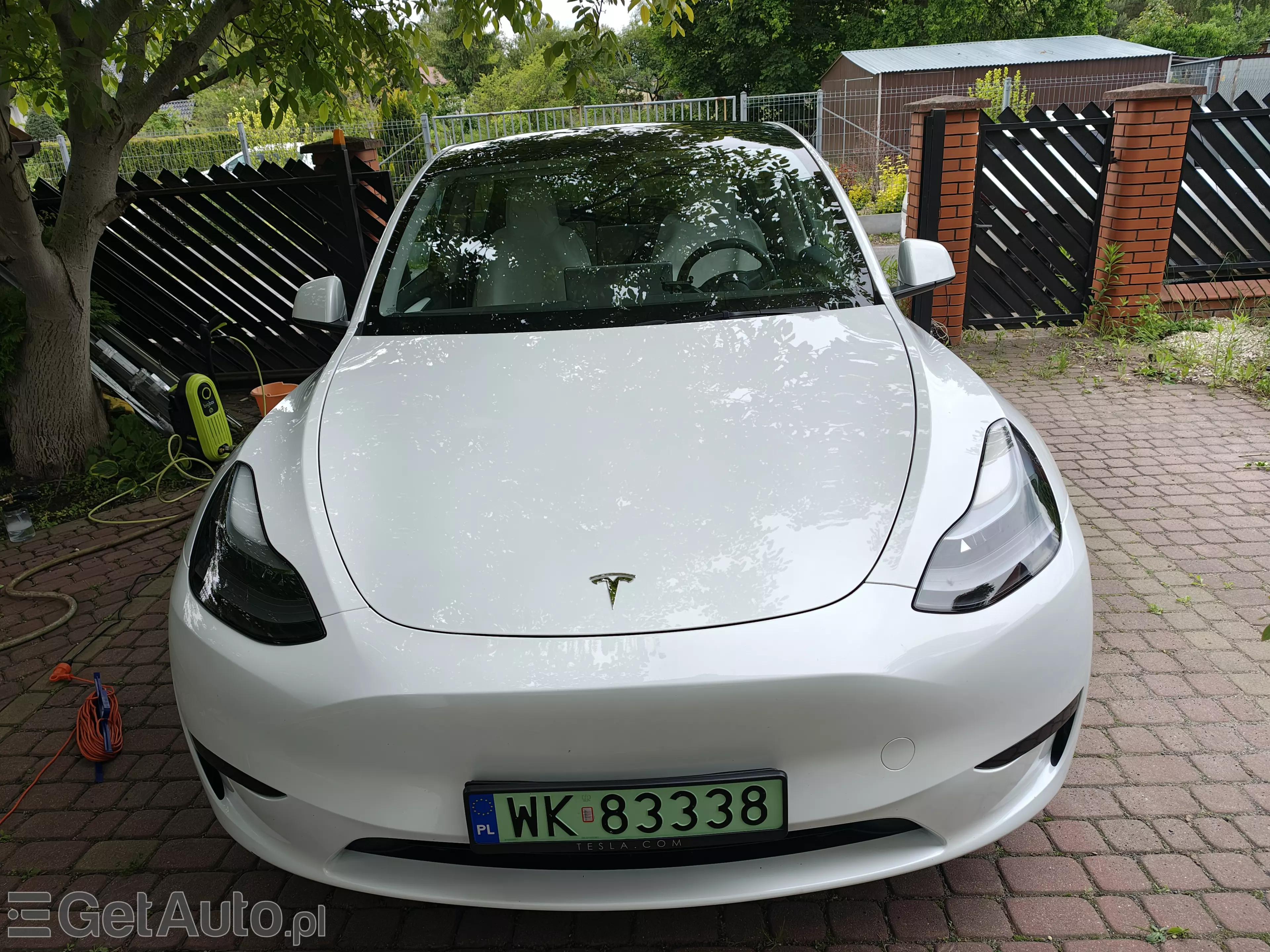 TESLA Y 