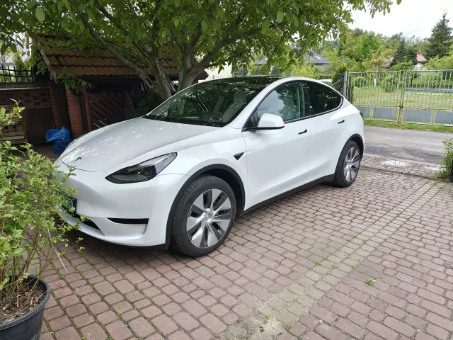 TESLA Y 