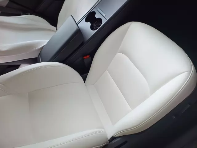 TESLA Y 