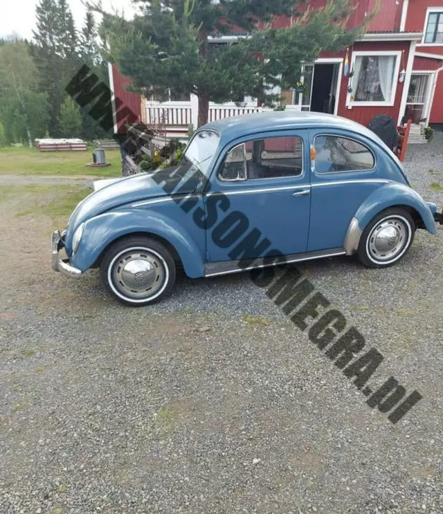 VOLKSWAGEN Beetle 