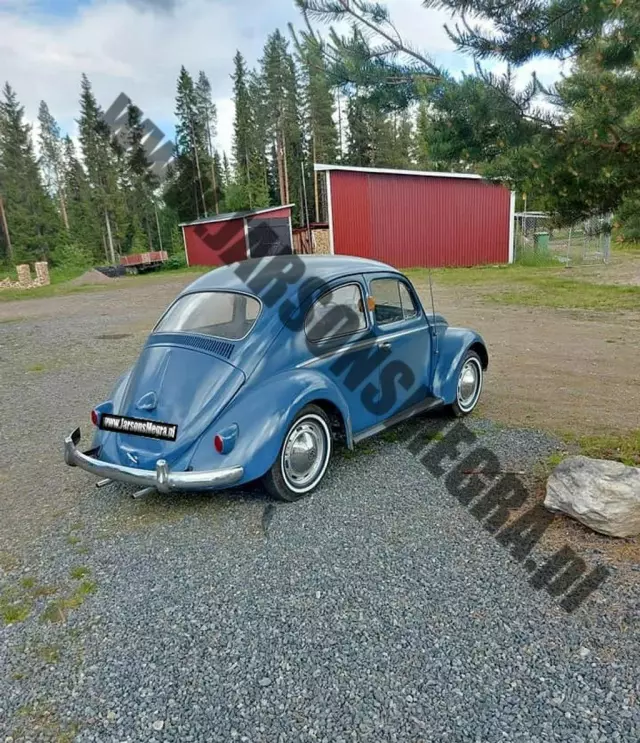 VOLKSWAGEN Beetle 