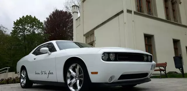 DODGE Challenger 