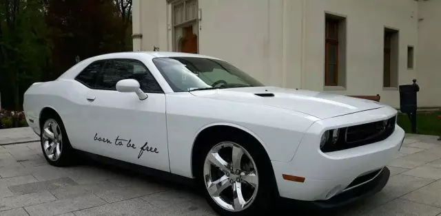 DODGE Challenger 