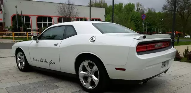 DODGE Challenger 