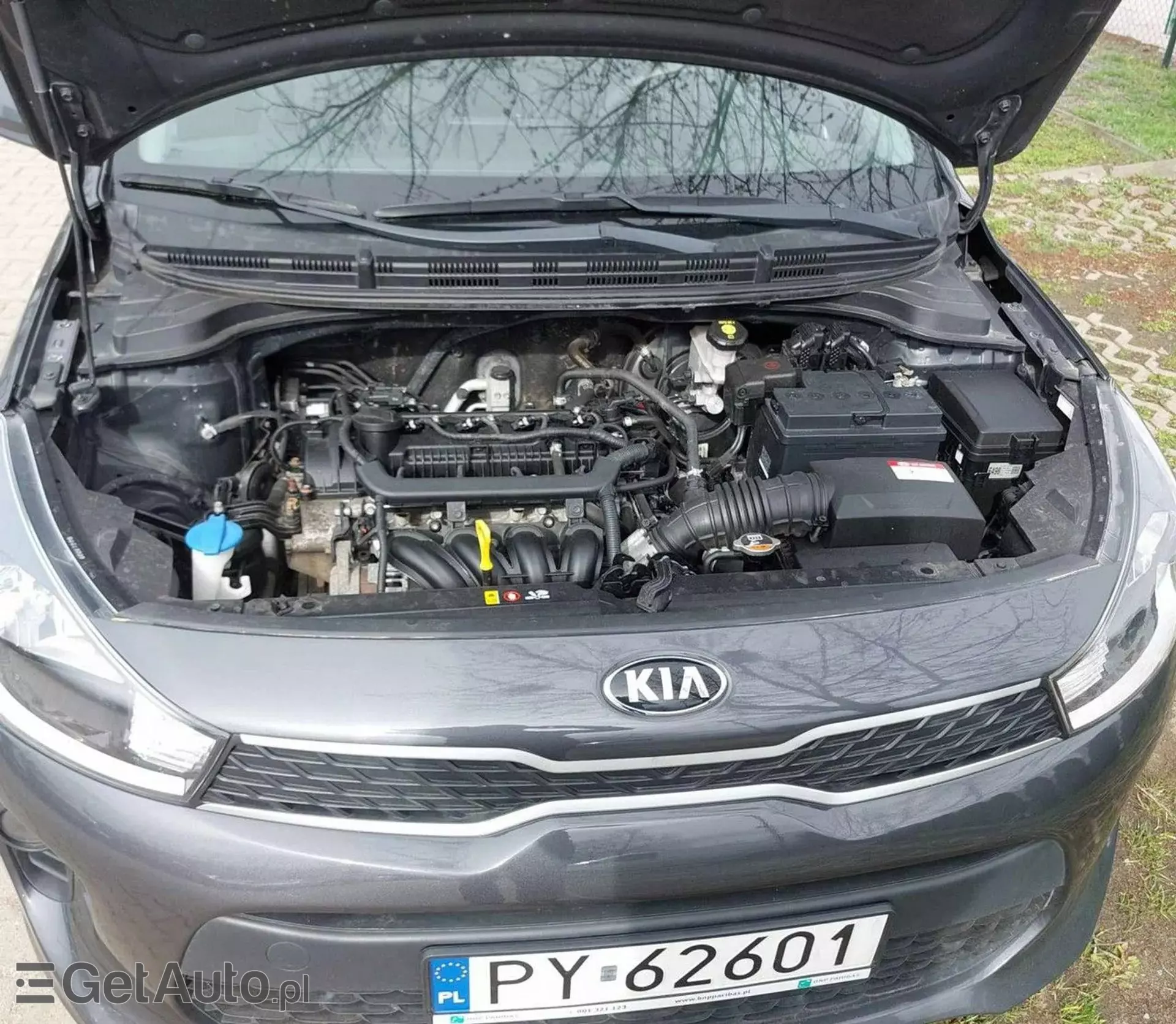 KIA Rio 
