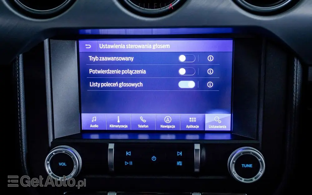 FORD Mustang 5.0 V8 GT