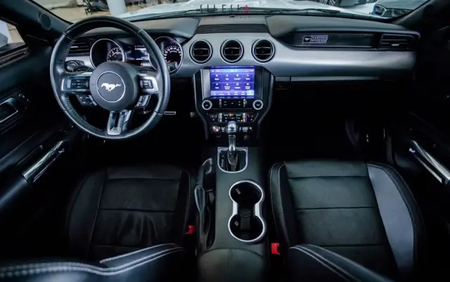 FORD Mustang 5.0 V8 GT