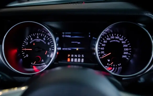 FORD Mustang 5.0 V8 GT