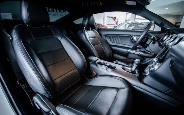 FORD Mustang 5.0 V8 GT