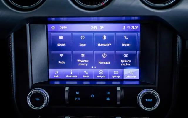 FORD Mustang 5.0 V8 GT