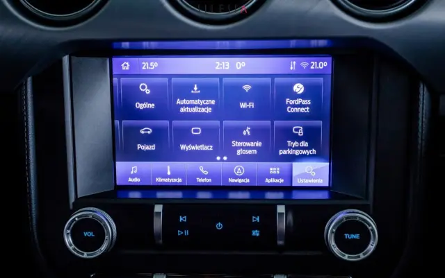 FORD Mustang 5.0 V8 GT