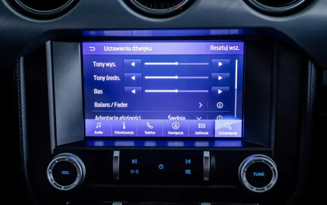 FORD Mustang 5.0 V8 GT