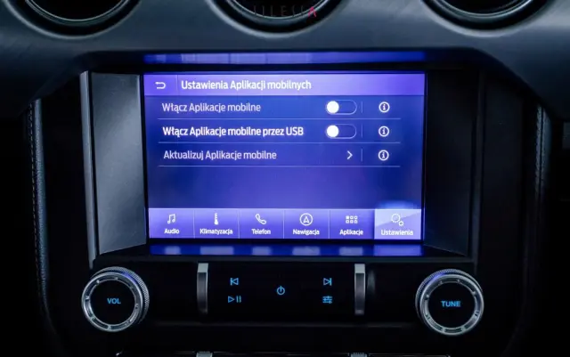 FORD Mustang 5.0 V8 GT