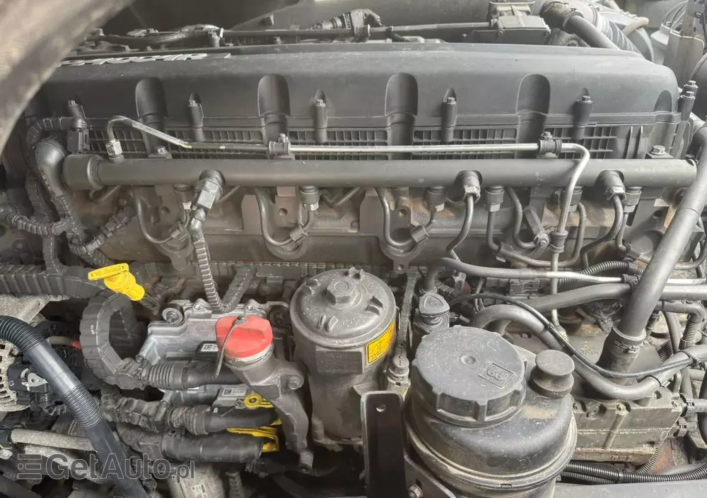 DAF XF 106 480 standard *118* 