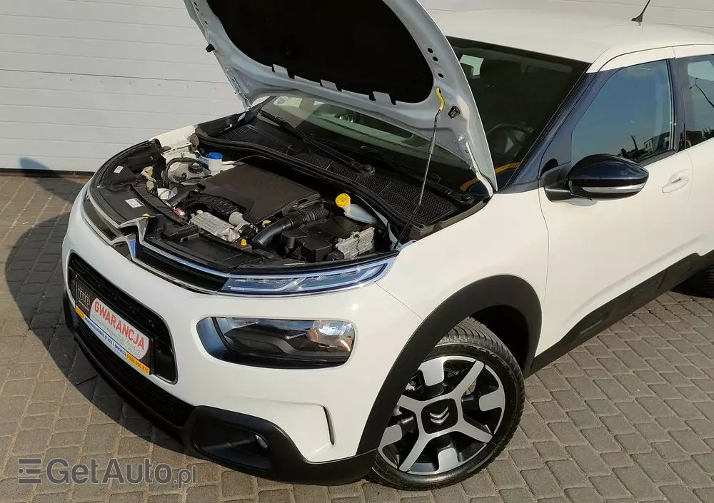 CITROËN C4 Cactus PureTech 110 Stop&Start Shine