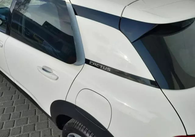 CITROËN C4 Cactus PureTech 110 Stop&Start Shine