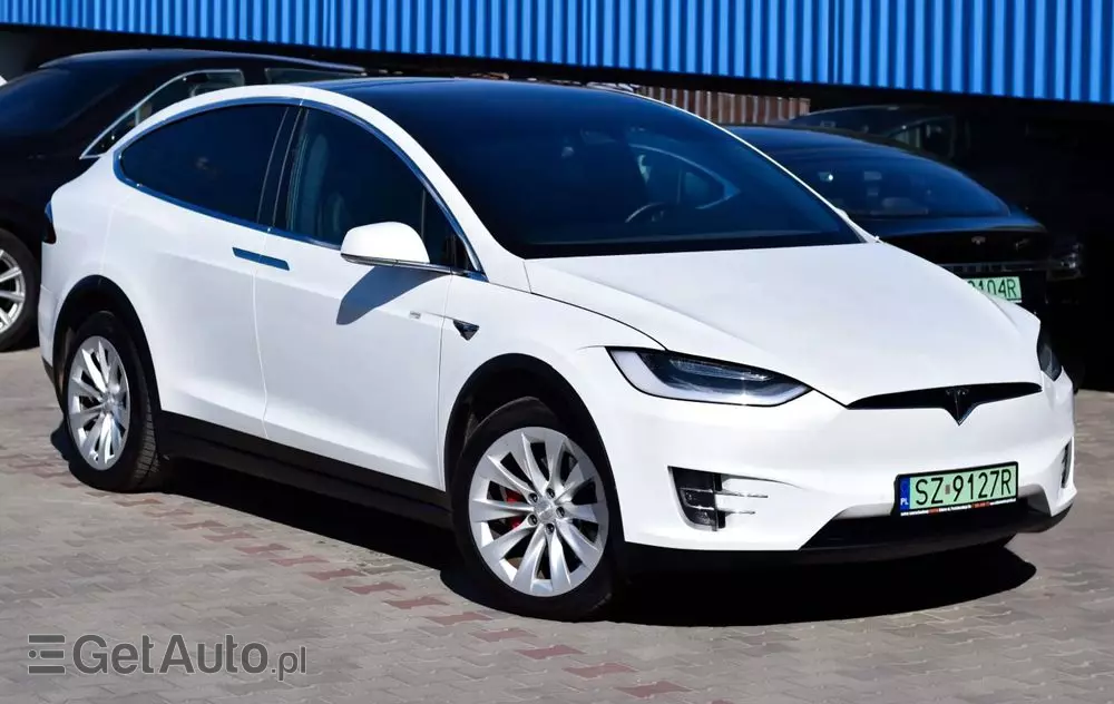 TESLA Model X Performance
