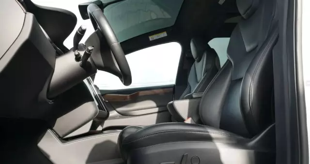 TESLA Model X Performance