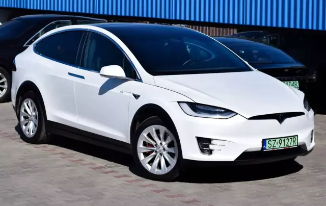 TESLA Model X Performance