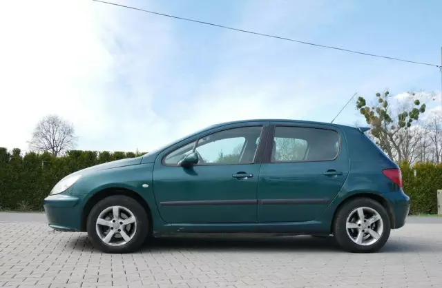 PEUGEOT 307 