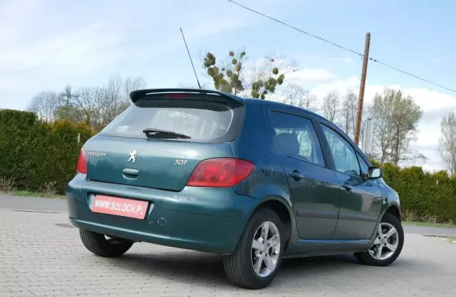 PEUGEOT 307 
