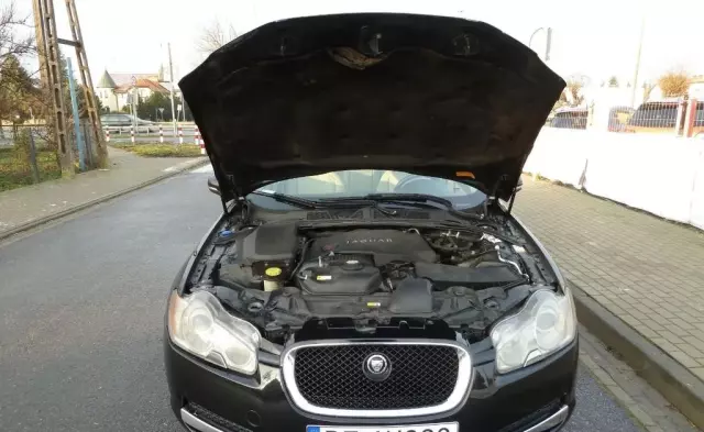 JAGUAR Xf 