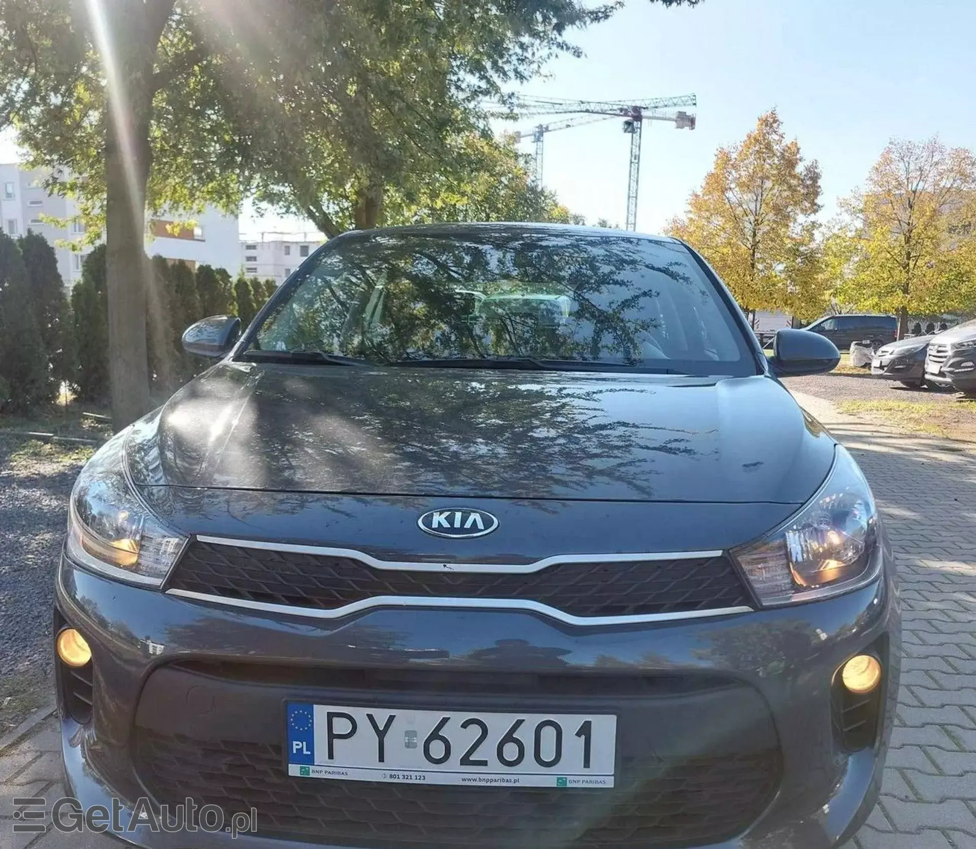 KIA Rio 