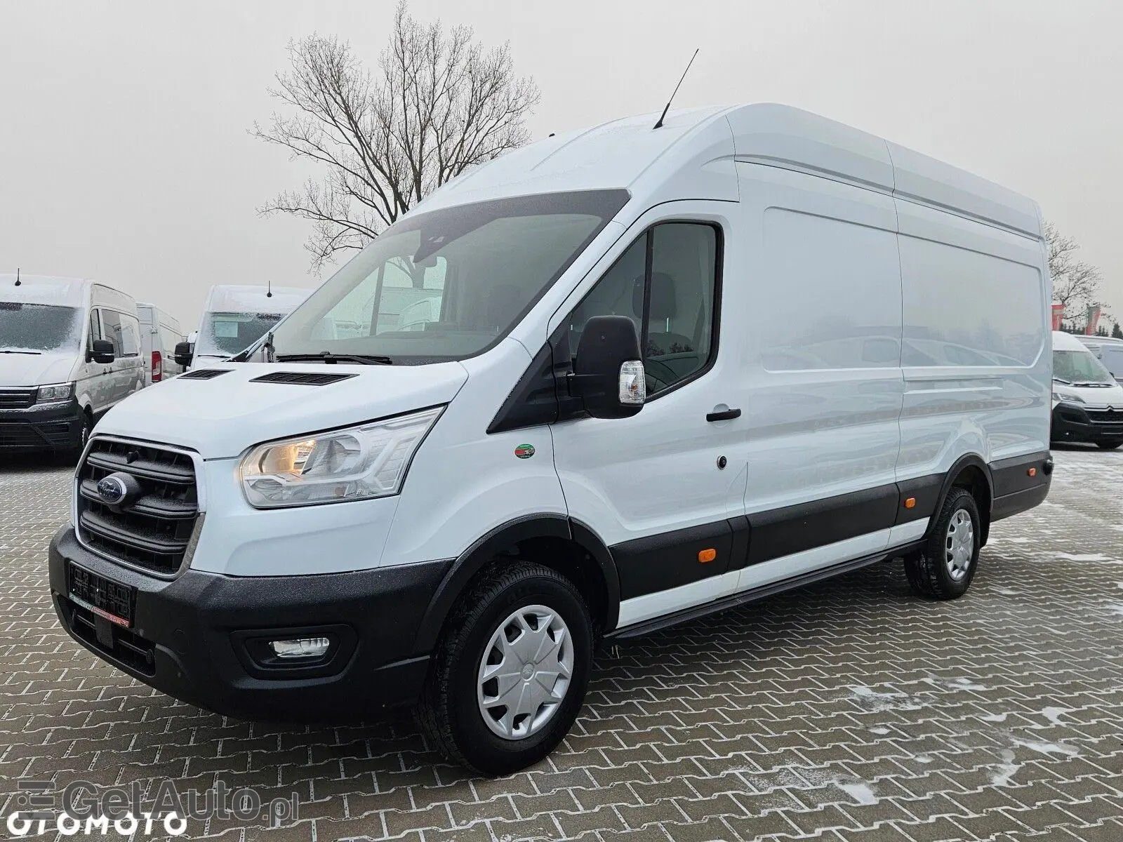FORD Transit L4H3 Trend