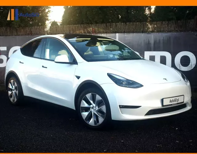 TESLA Y Long Range AWD