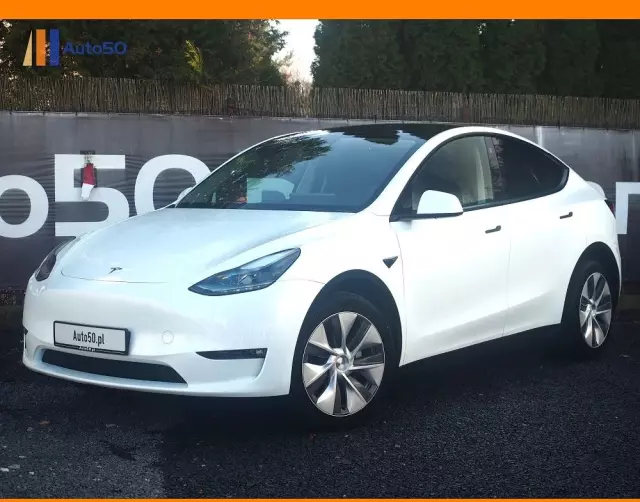 TESLA Y Long Range AWD