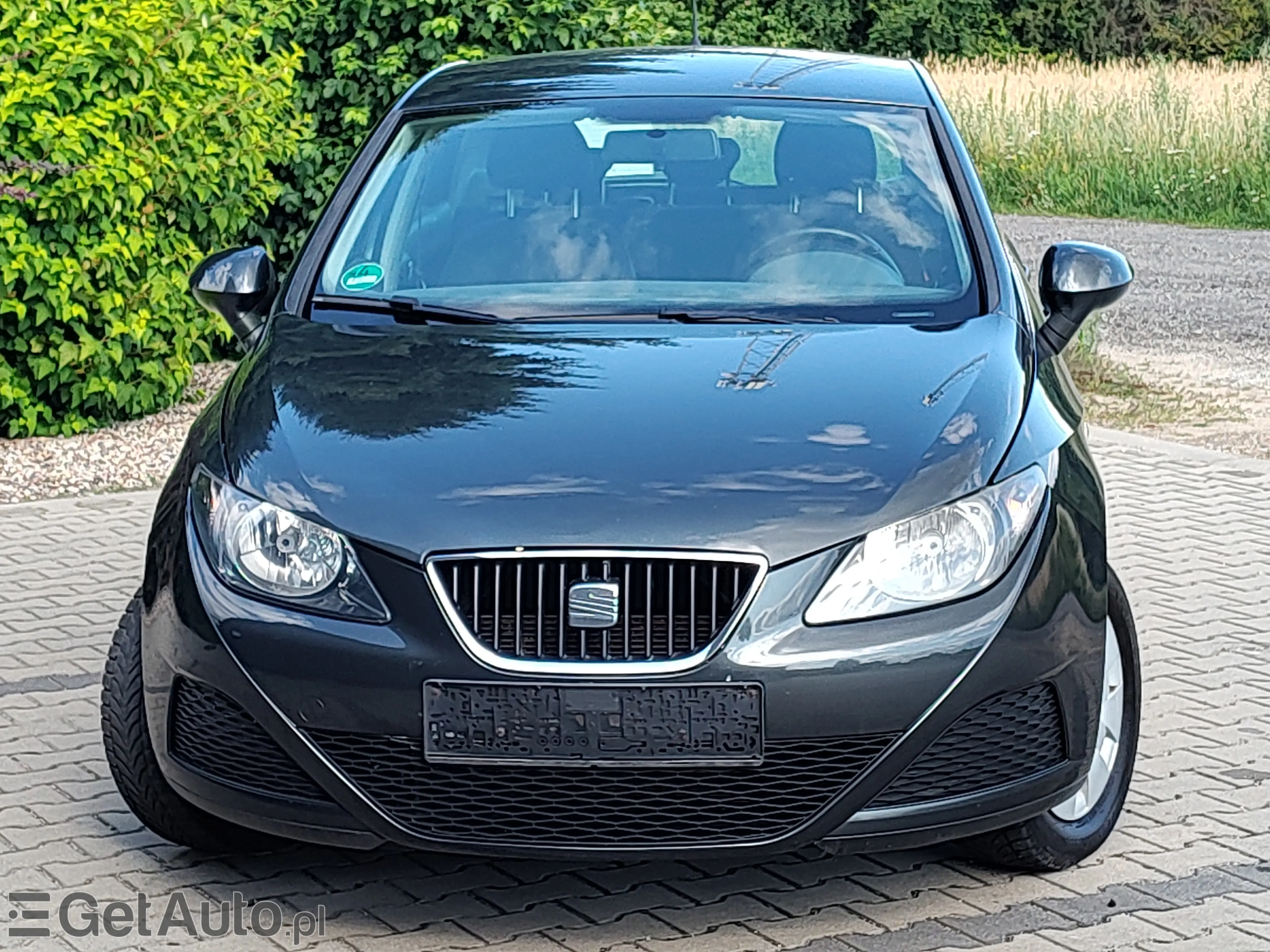 SEAT Ibiza Reference
