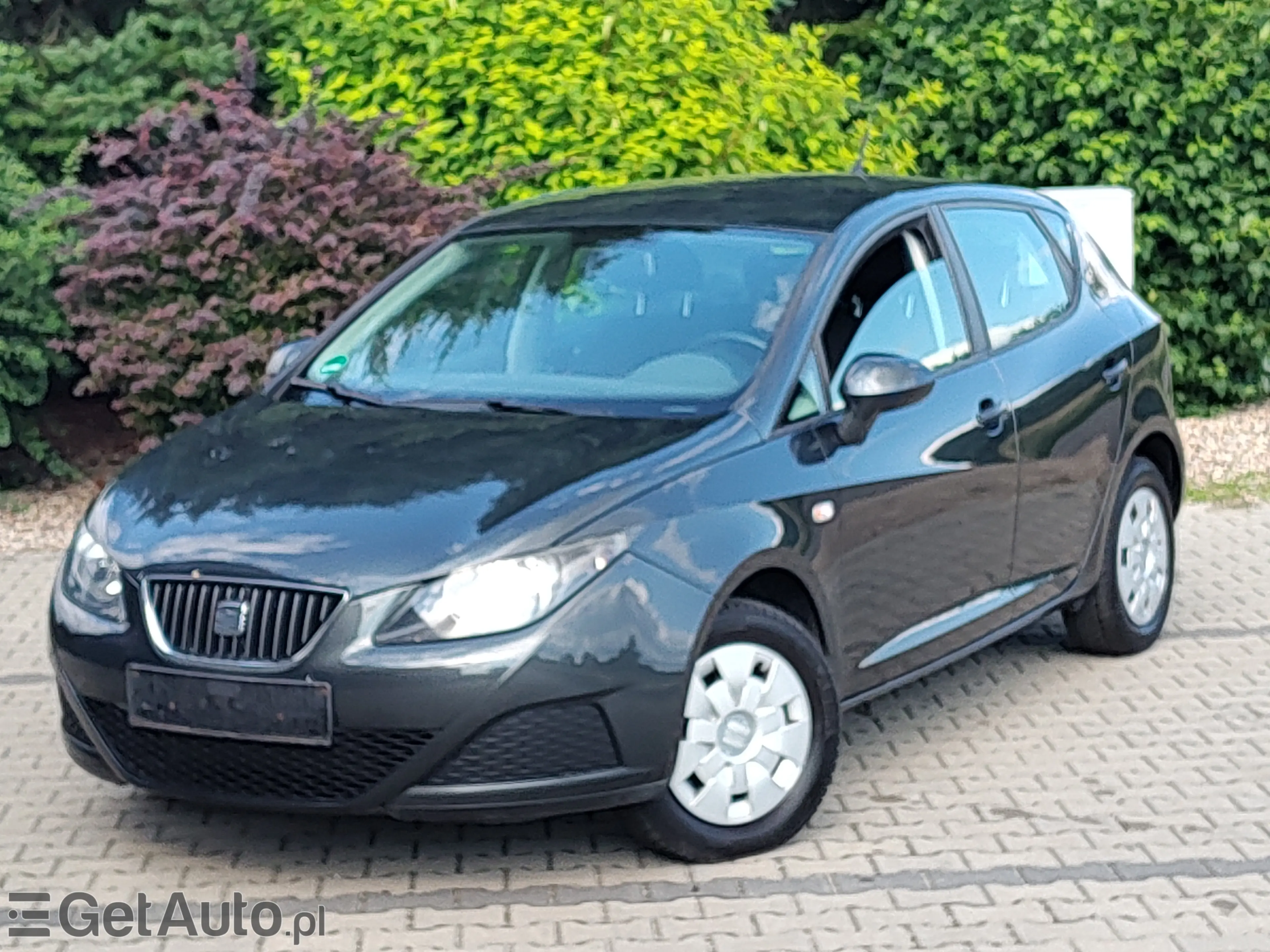 SEAT Ibiza Reference