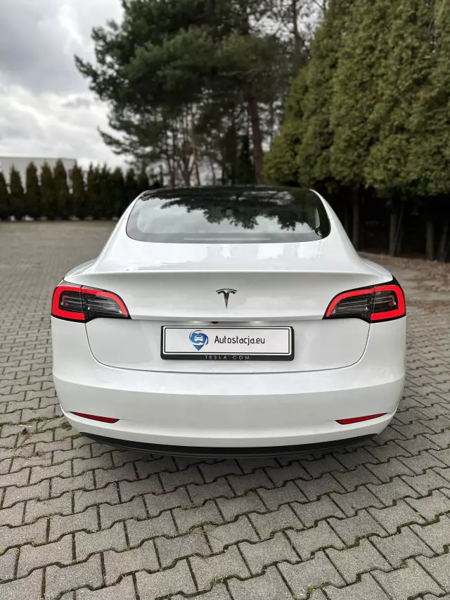 TESLA 3 