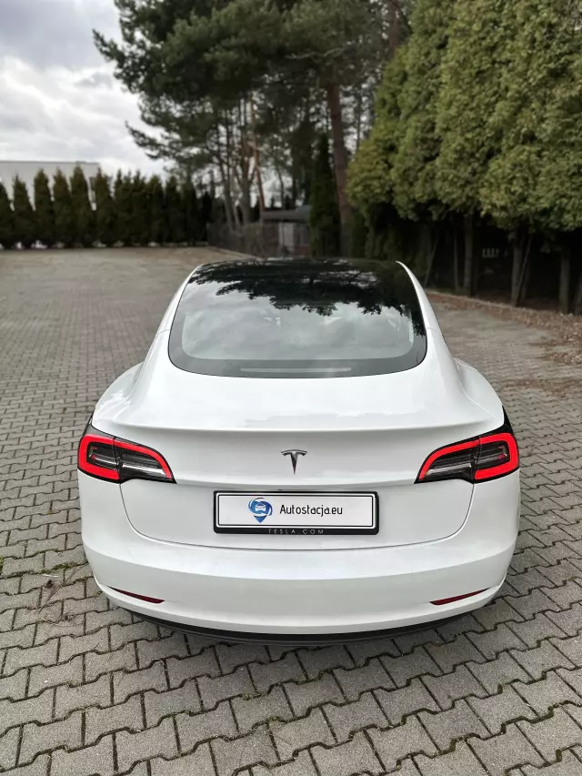 TESLA 3 