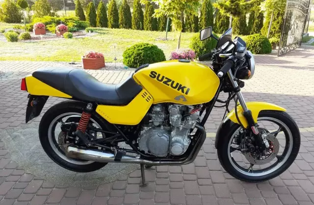 SUZUKI Inny 