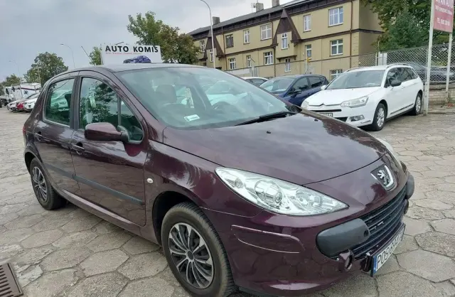 PEUGEOT 307 