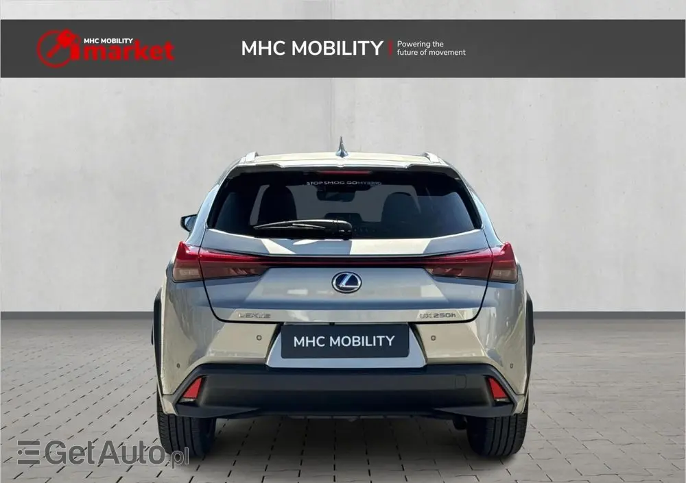 LEXUS UX 250h GPF Business Edition 2WD