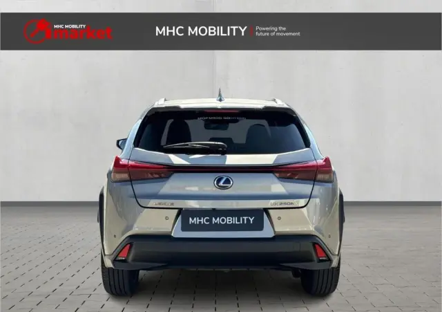 LEXUS UX 250h GPF Business Edition 2WD