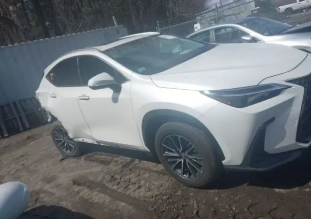 LEXUS NX 
