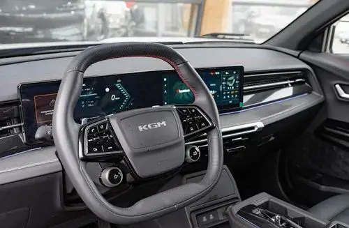 SSANGYONG/KGM Actyon 