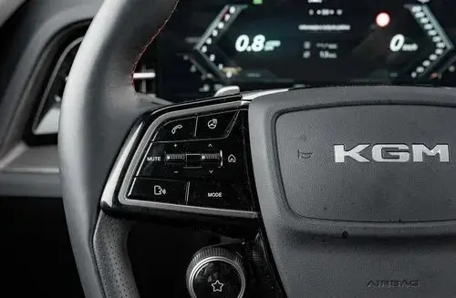 SSANGYONG/KGM Actyon 