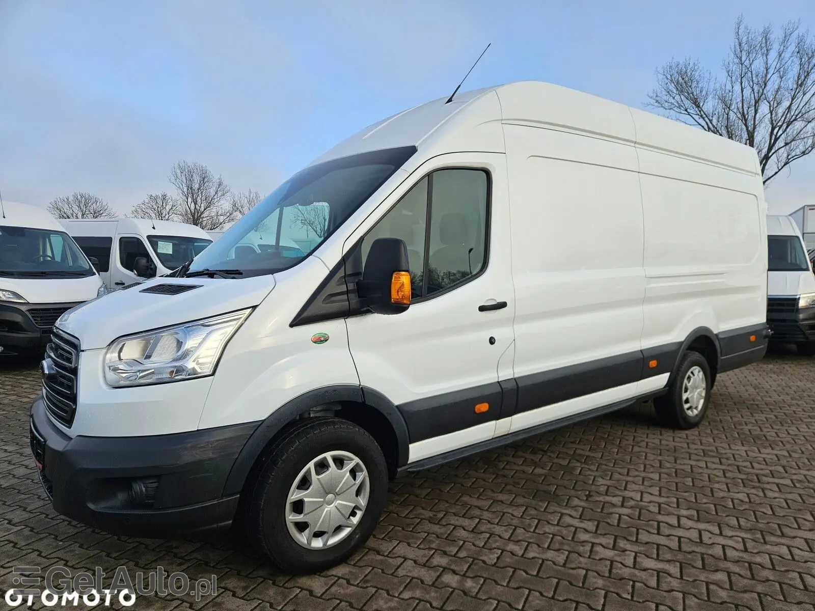 FORD Transit L4 Trend