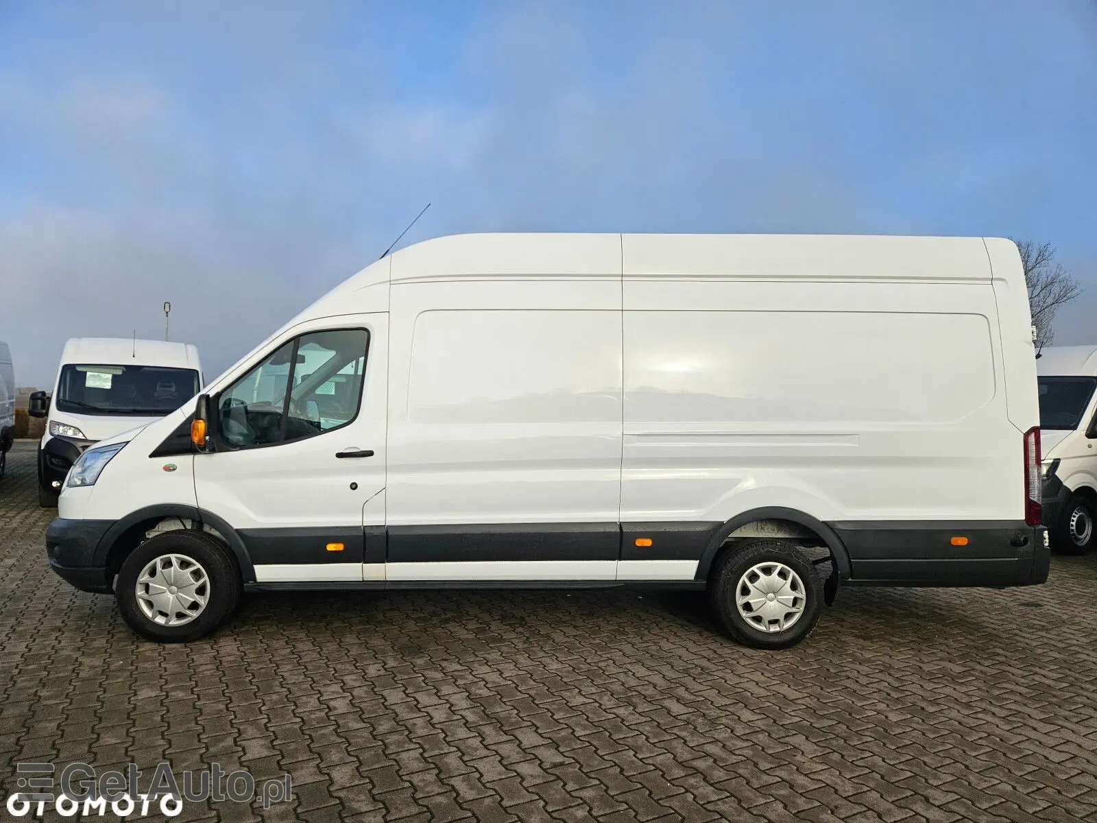 FORD Transit L4 Trend